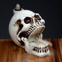 Kominek backflow - rozdziawiona czaszka