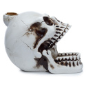 Kominek backflow - rozdziawiona czaszka